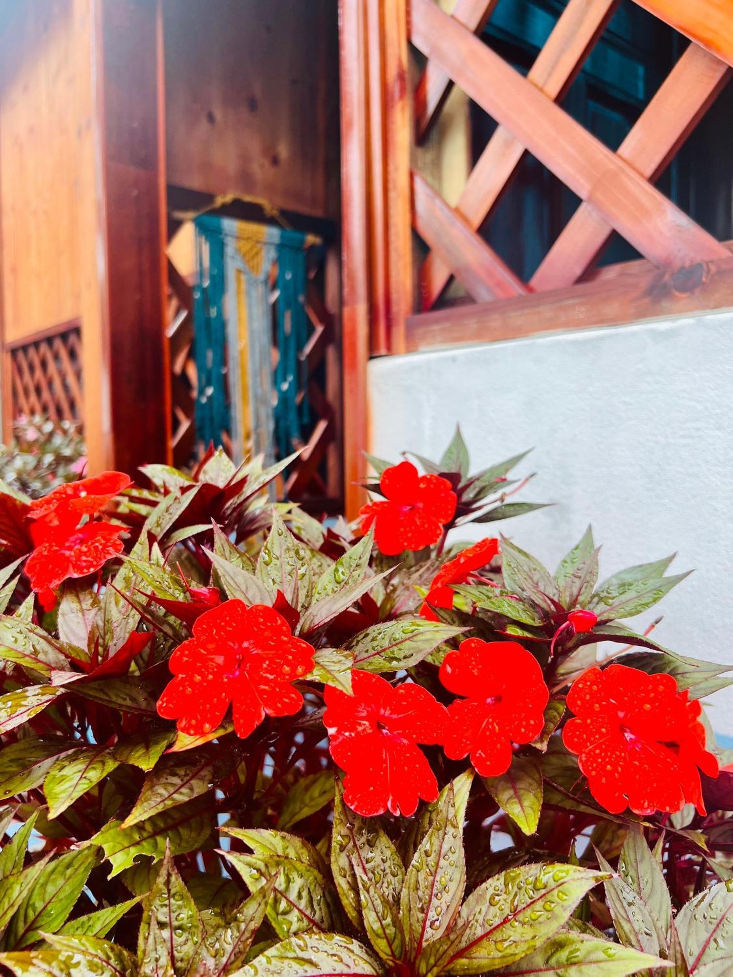 Vietnam Phuot Real Home Tỉnh Kontum Pokoj fotografie